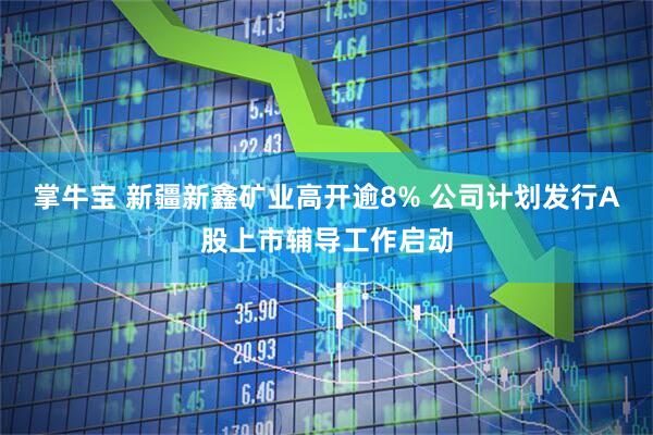 掌牛宝 新疆新鑫矿业高开逾8% 公司计划发行A股上市辅导工作启动