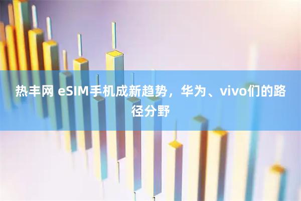 热丰网 eSIM手机成新趋势，华为、vivo们的路径分野