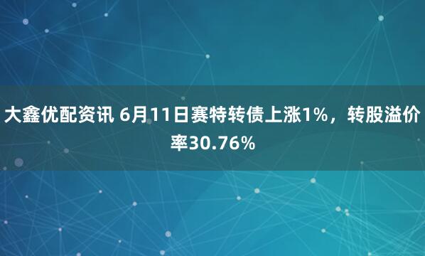 大鑫优配资讯 6月11日赛特转债上涨1%，转股溢价率30.76%