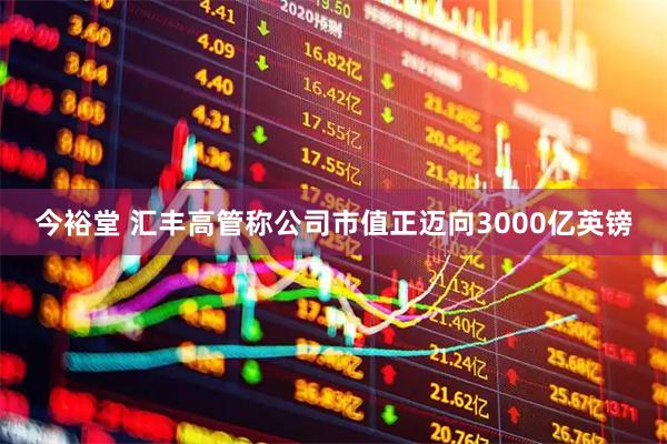 今裕堂 汇丰高管称公司市值正迈向3000亿英镑